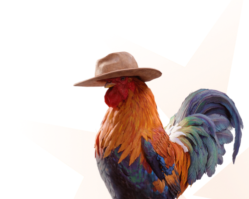 Scrappy the Roaster Game pack image