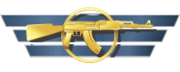 Master Guardian I Game rank image