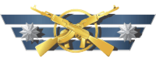 Master Guardian Elite Game rank image
