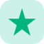 trustpilot star icon
