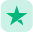 trustpilot star icon
